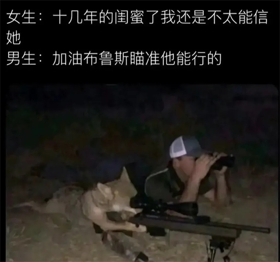 加油布鲁斯你可以的表情包汇总2023最新