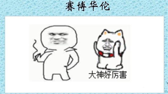 赛博华佗什么意思