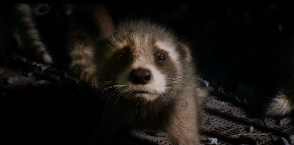 《银河护卫队3》曝终极预告 揭火箭浣熊悲惨身世