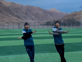 青海摇是什么意思