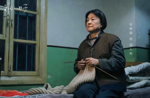 《我们的日子》演员演技排名：小雪花第二，李乃文第五