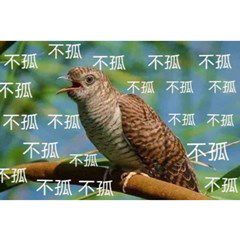 2023情人节不孤鸟表情包大全