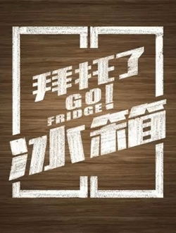 拜托了冰箱中国版