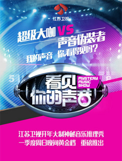 看见你的声音中国版