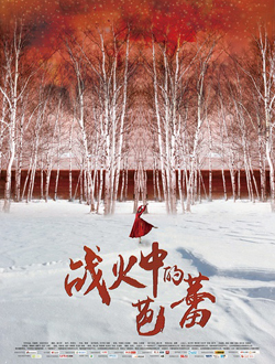 战火中的芭蕾分集剧情