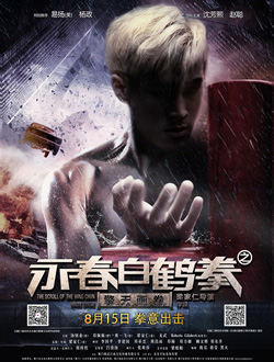 永春白鹤拳之擎天画卷分集剧情