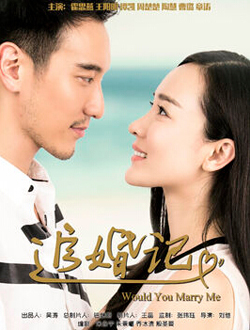 追婚记分集剧情