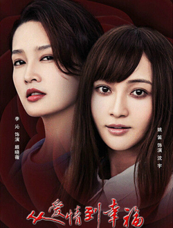 从爱情到幸福分集剧情