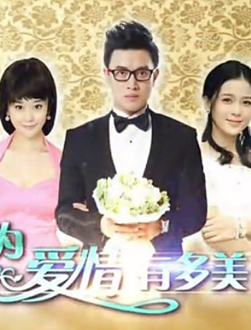 因为爱情有多美分集剧情