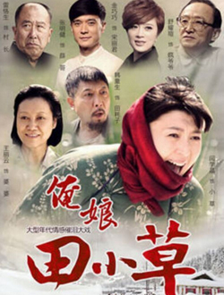 俺娘田小草分集剧情