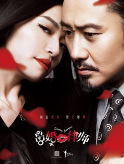 离婚律师分集剧情