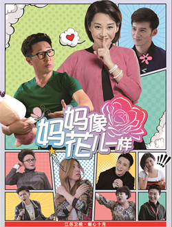 妈妈像花儿一样分集剧情