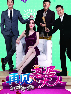 再见！老婆大人分集剧情