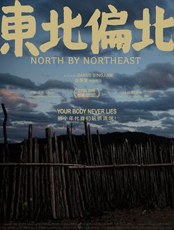 东北偏北分集剧情