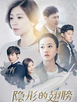 隐形的翅膀分集剧情