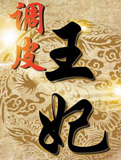 调皮王妃分集剧情