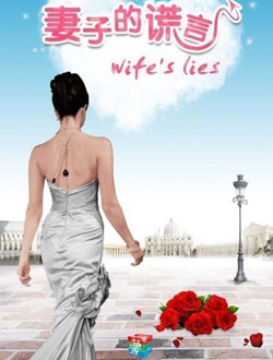 妻子的谎言分集剧情