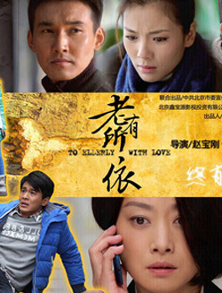 老有所依分集剧情