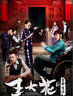 王大花的革命生涯分集剧情