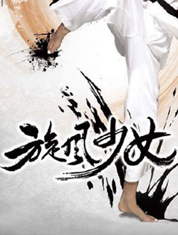 旋风少女分集剧情