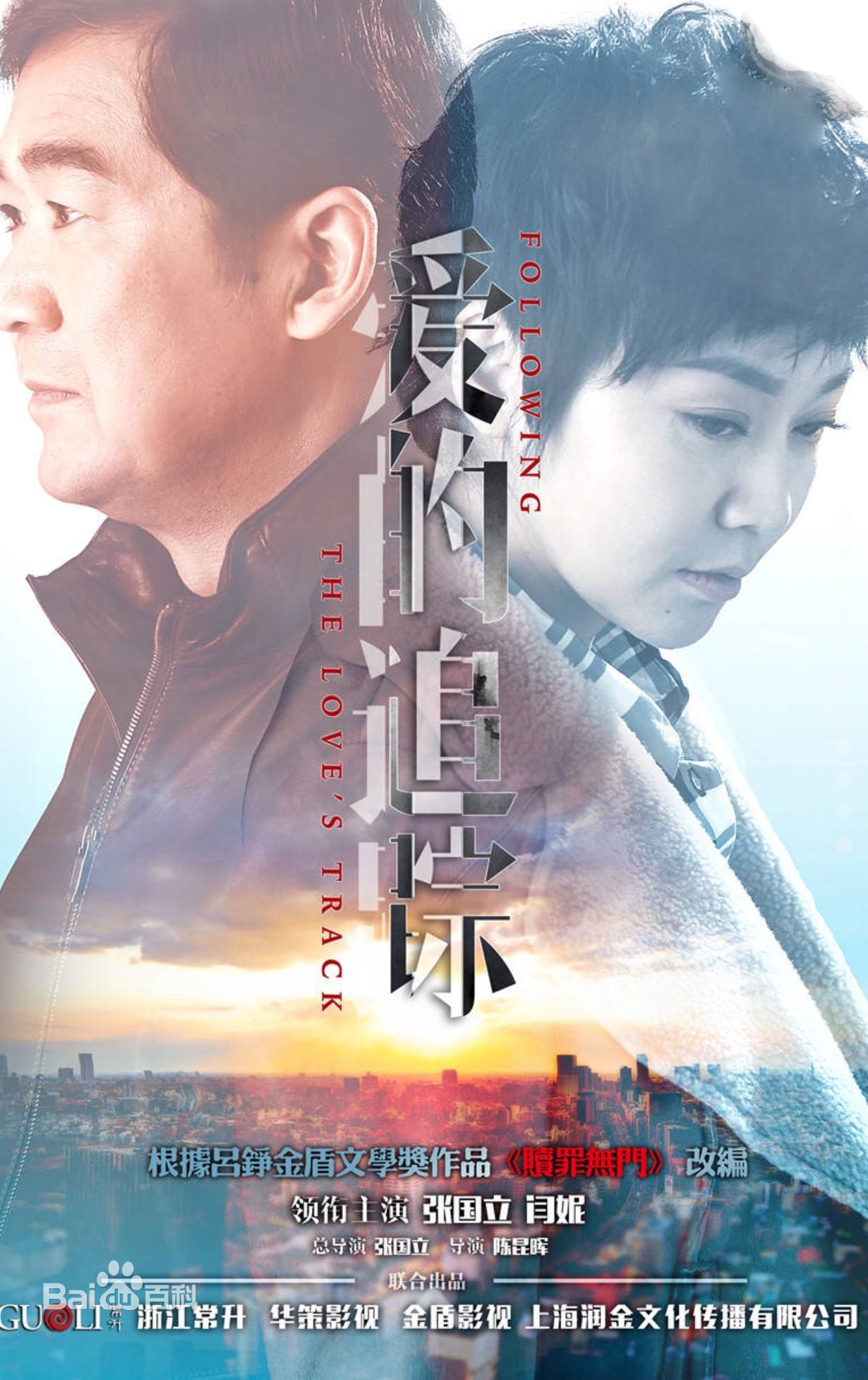 爱的追踪分集剧情