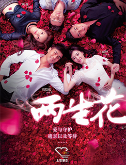 两生花分集剧情