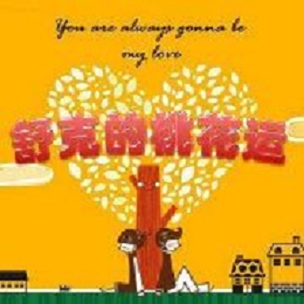 舒克的桃花运分集剧情