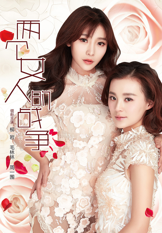 两个女人的战争分集剧情