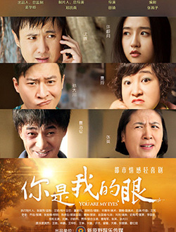 你是我的眼分集剧情