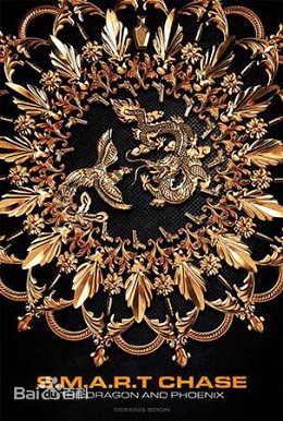 极智追击：龙凤劫