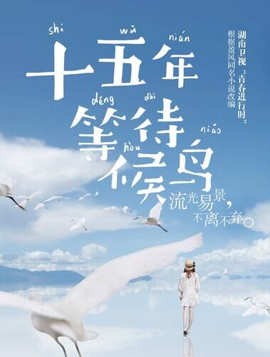 十五年等待候鸟