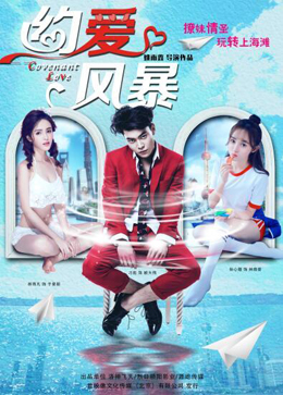 约爱风暴分集剧情