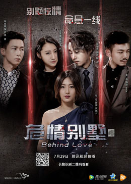 危情别墅分集剧情