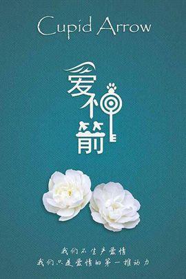爱神箭分集剧情