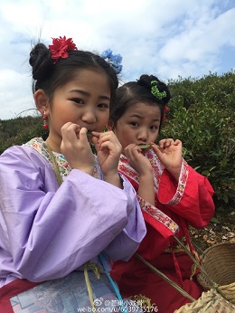 小戏骨刘三姐分集剧情