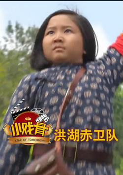 小戏骨洪湖赤卫队分集剧情