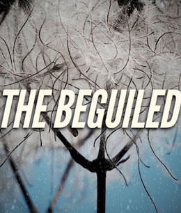 牡丹花下分集剧情