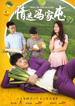 情迷冯家屯分集剧情