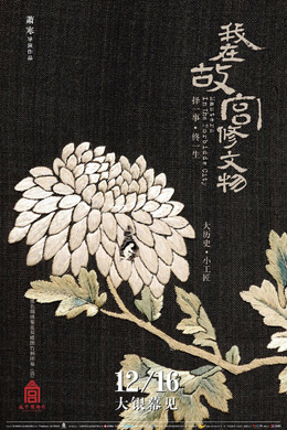 我在故宫修文物 我在故宫修文物