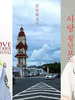 爱情斑马线分集剧情