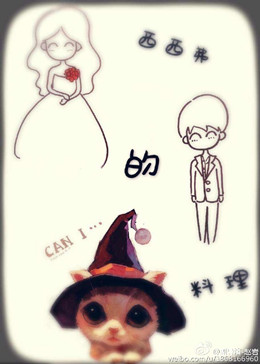 西西弗斯的料理分集剧情