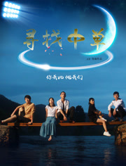 寻找中单分集剧情