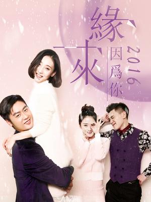 缘来因为你2016分集剧情