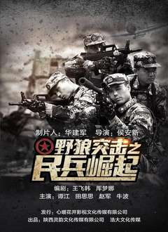 野狼突击之民兵崛起分集剧情