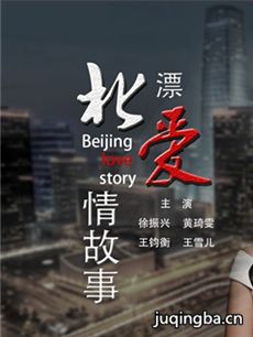 北漂爱情故事分集剧情