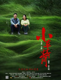 小草青青分集剧情
