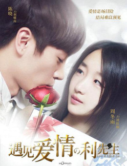 遇见爱情的利先生分集剧情