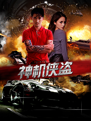 神机侠盗分集剧情