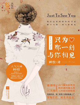 只为那一刻与你相见分集剧情