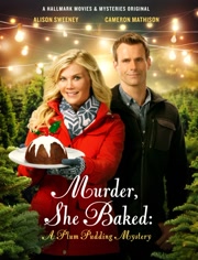 圣诞布丁迷案分集剧情